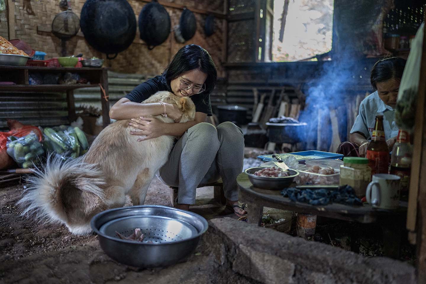 Doctor holds dog